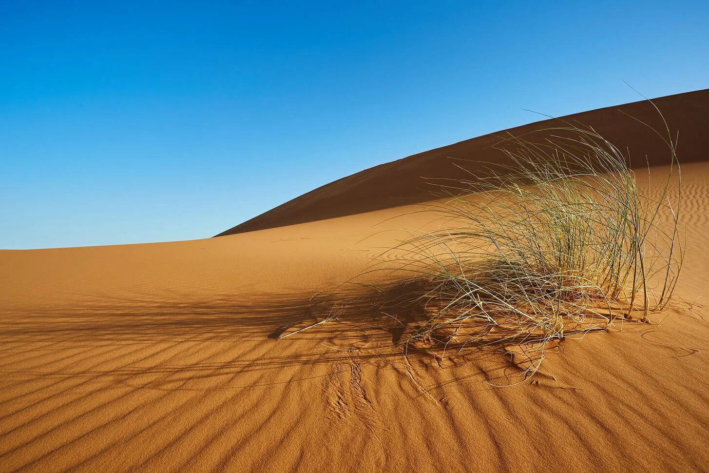 Карточки домана природа пустыня. Пустыня сахара высота над уровнем моря. Пустыня для дошкольников. Пустыня для дошкольников. Пустынная природная зона.