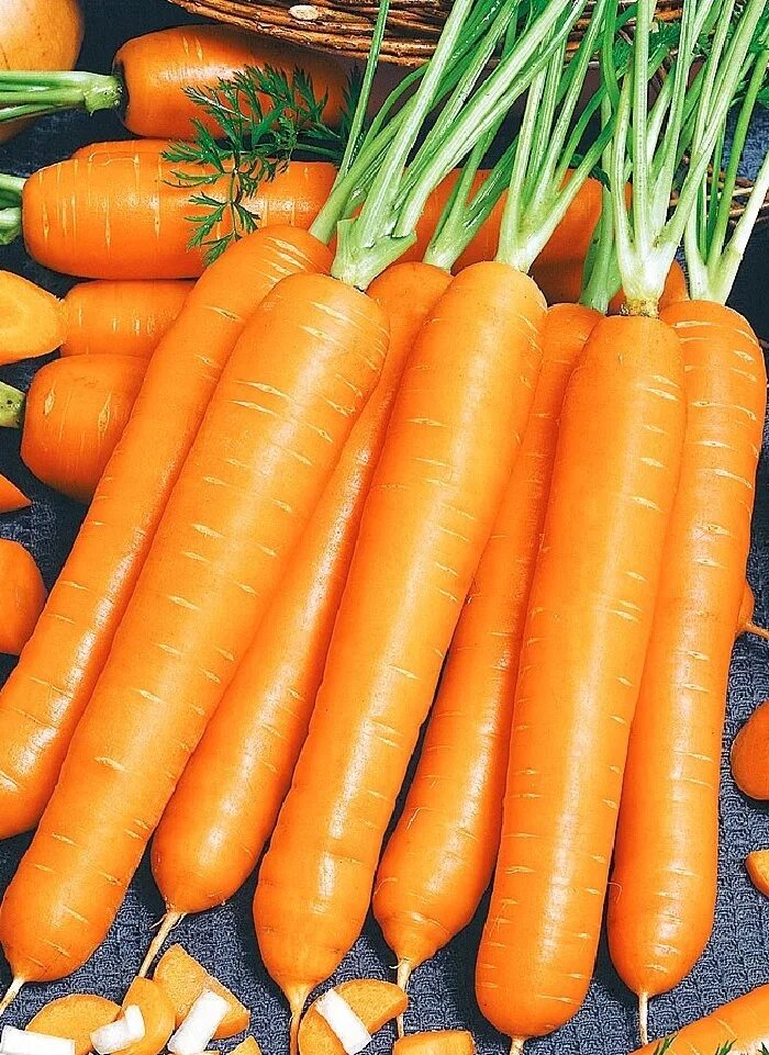 Какая морковь сладкая. Морковь f1 маэстро. Морковь сорт маэстро. Морковь детская сладость Гавриш.