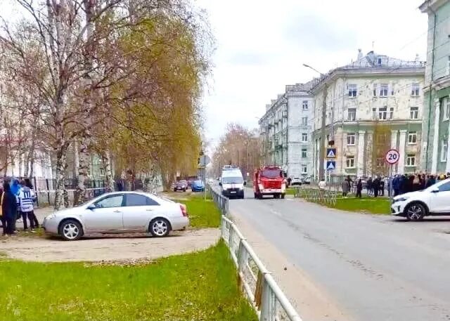 Тв 29 беломорканал. Северодвинское лесничество. Новости северодвинска беломорканал. Беломорканал северодвинск. Тв 29 беломорканал.