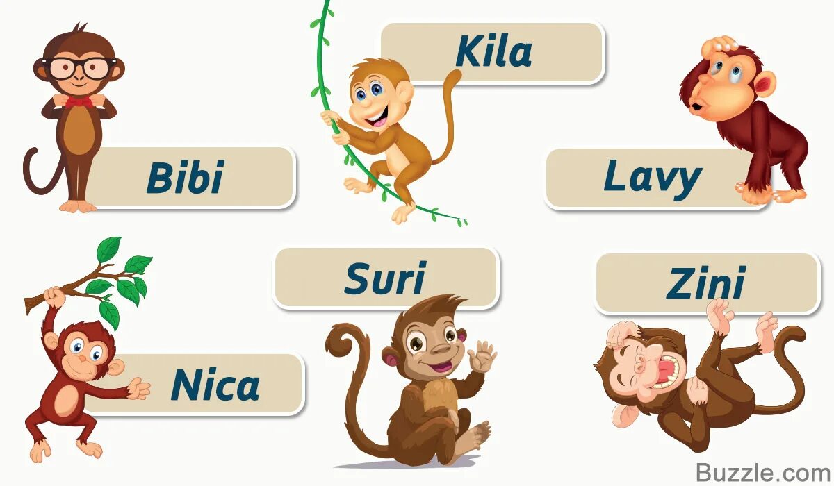 Обезьяна с азбукой. Имена для обезьян. Физкультминутка ""веселые мартышки. Шимпанзе на английском. Имя обезьяны на английском.
