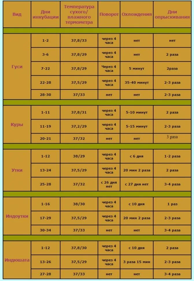 Таблица вывода куриных яиц в инкубаторе. Температурный режим в инкубаторе для куриных яиц. Таблица вывода куриных яиц в инкубаторе Несушка. Температурный режим в инкубаторе для куриных яиц таблица. Таблица для гусиных яиц в инкубаторе.