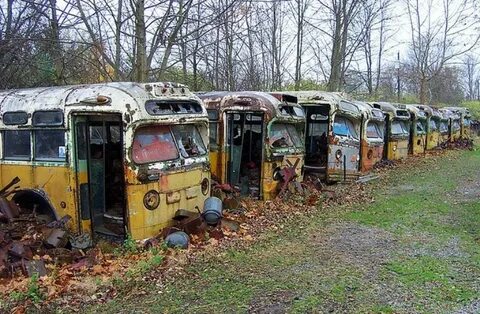 School bus graveyard reading