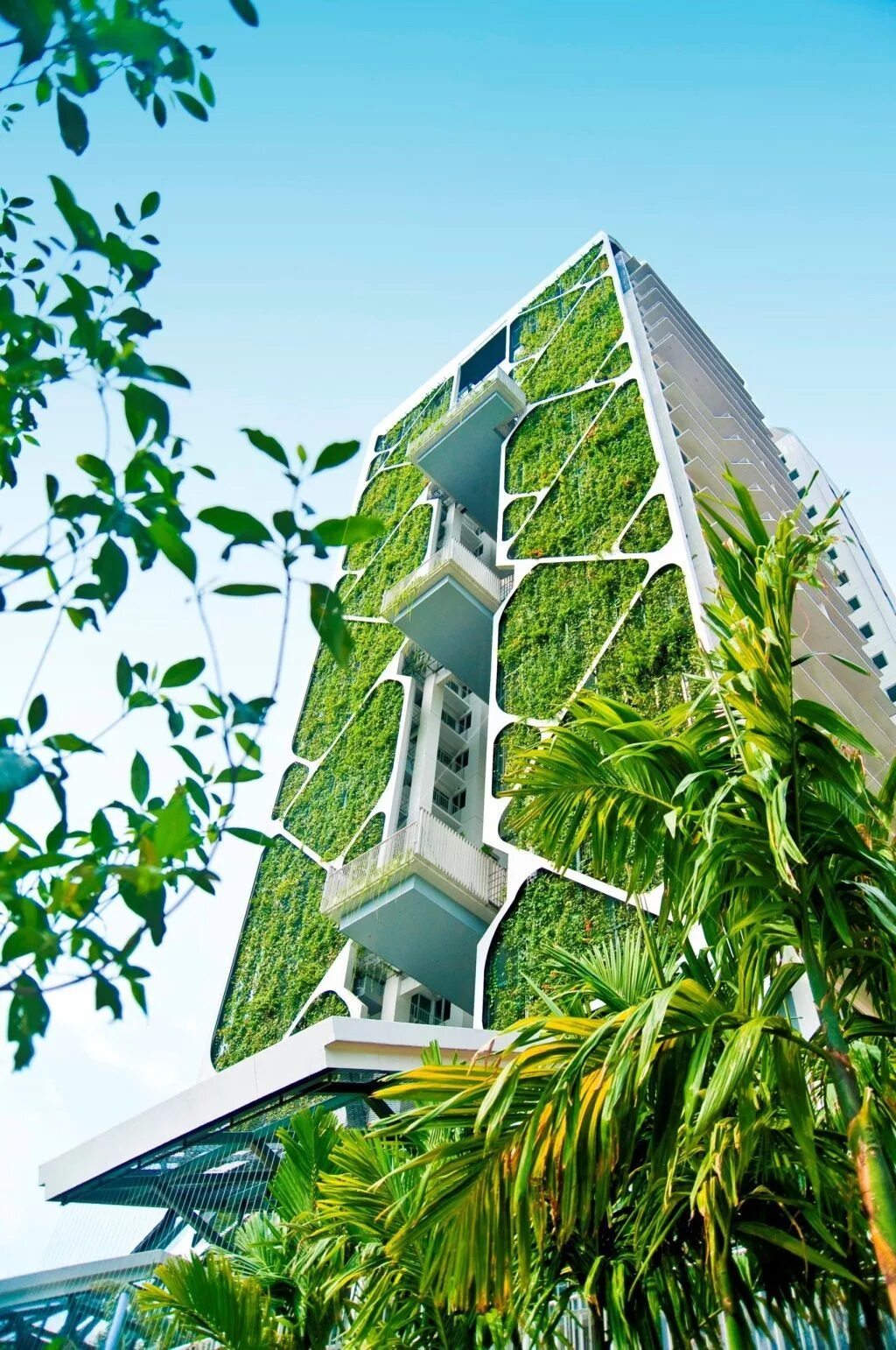 Вертикальная 20. Tree House Сингапур. Сингапур Экогород. ЭКОАРХИТЕКТУРА В Сингапуре. Эко архитектура Сингапур.