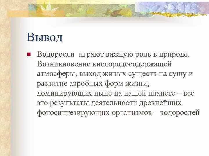 Вывод водоросли. Вывод по теме водоросли. Заключение водоросли. Вывод водоросли в жизни человека.