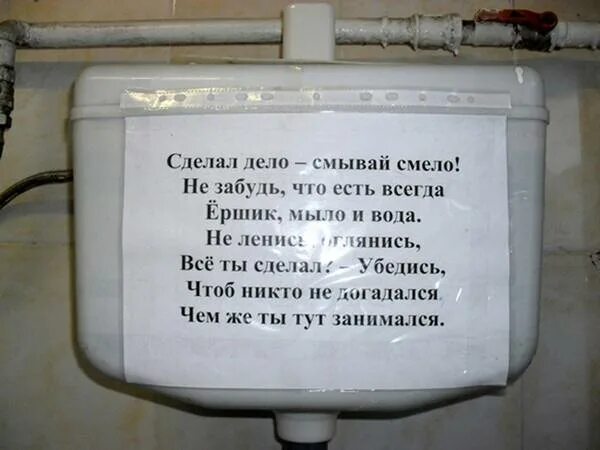 Почему сегодня нельзя убираться. Надпись туалет. Прикольные объявления в туалете. Смешные надписи в туалете. Объявление о смывании унитаза.