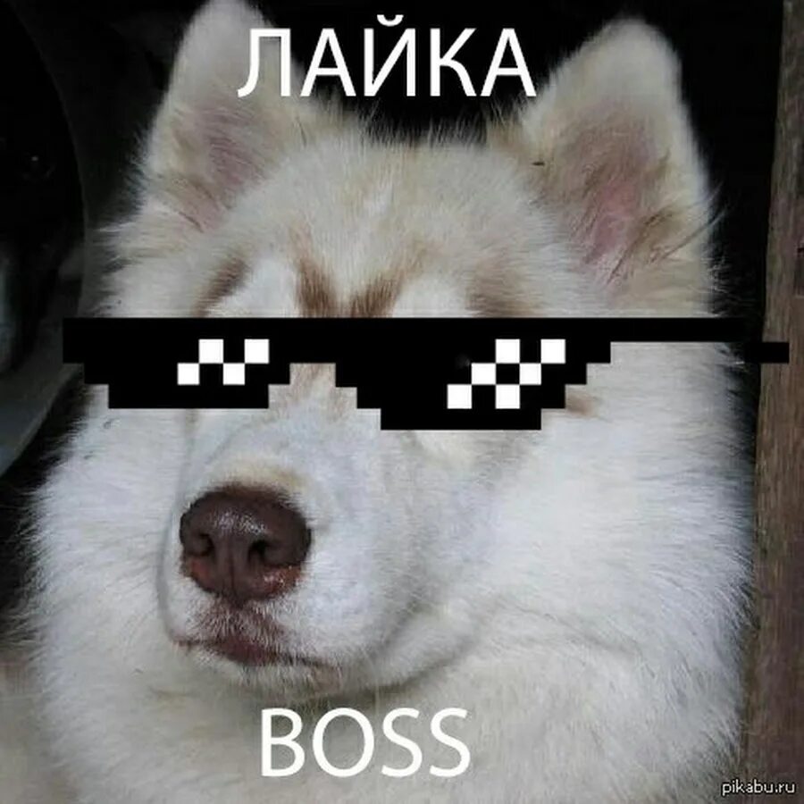 Как сделать слово лайки