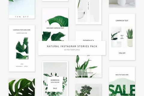 Stories net