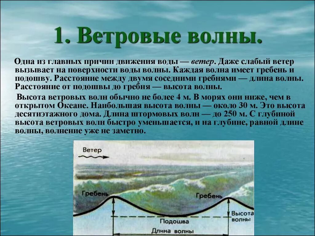 Ветровые волны. Длина ветровых волн. Сообщение о волнах. Презентация ветровые волны. Значение движения воды