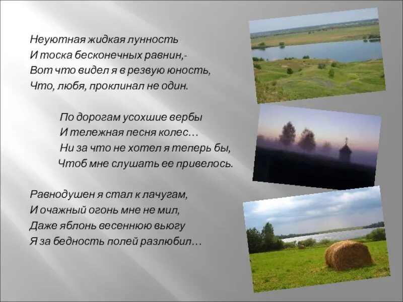 Стихотворение "неуютная жидкая лунность". Есенин неуютная жидкая лунность 1925. Неуютная жидкая лунность есенин. Неуютная жидкая лунность анализ. Не уютная жилка луность.