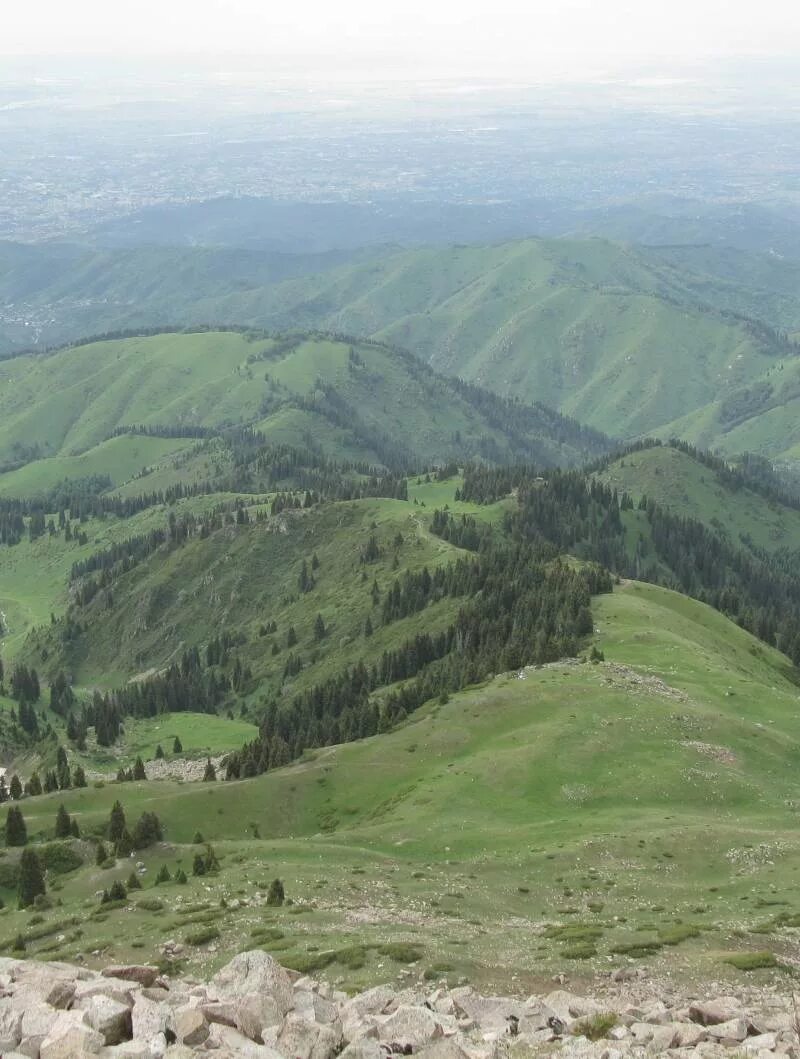 Фурмановка бахчисарайский. Фурмановка Бахчисарайский район. Фурмановка Кыргызстана. Алакольский природный заповедник. Токжайлау Алакольский район.