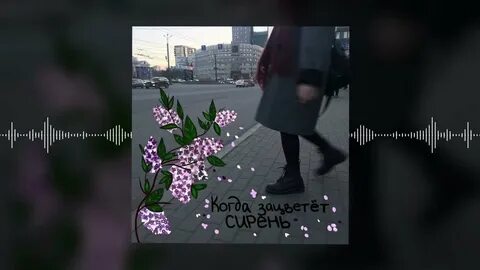 Песня алены швец котенок