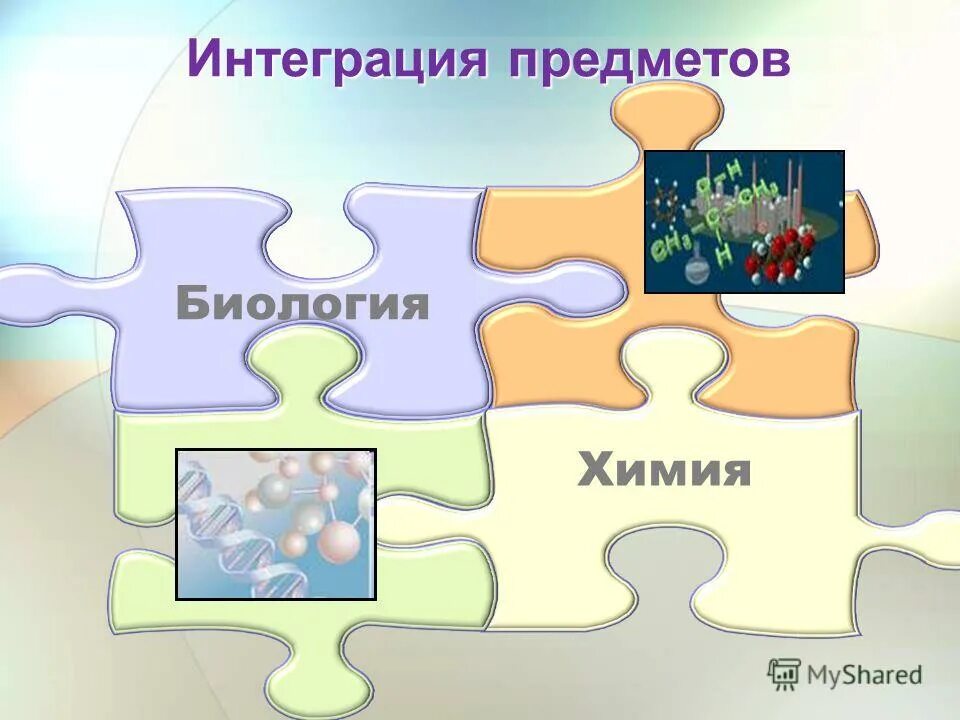 Интеграция это в биологии. Интеграционный урок химии и биологии. Интеграция уроков биологии. Химия и биология. Интегрированные уроки по биологии