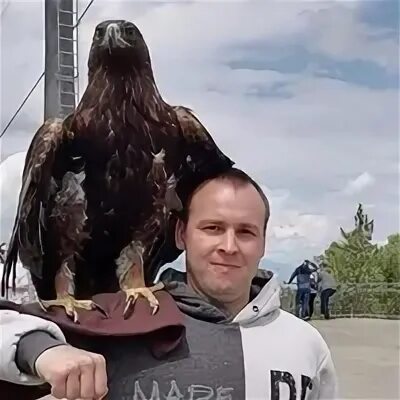 Коля бычок