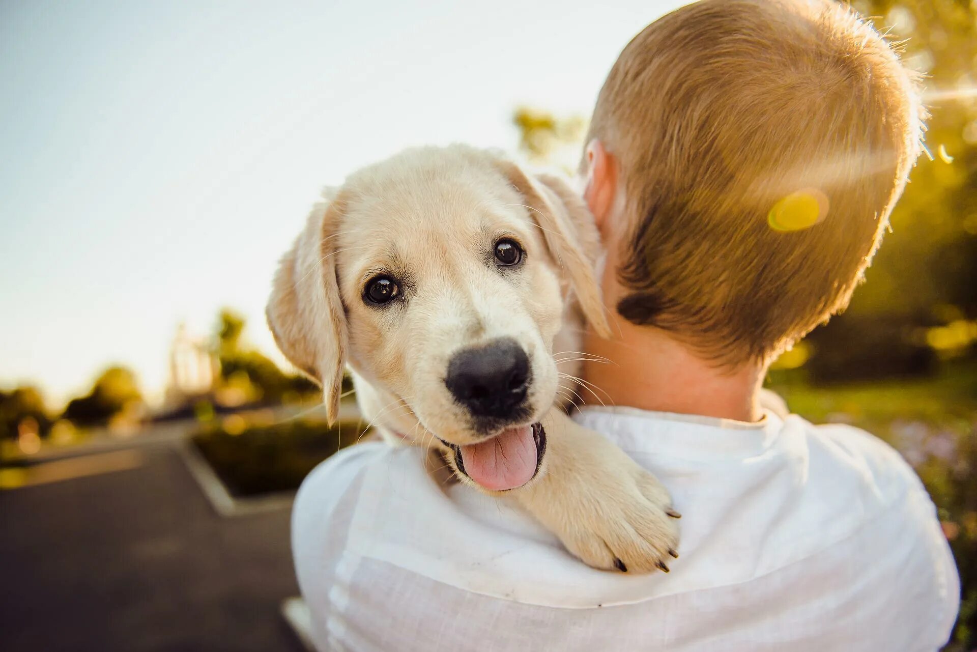 Best pet friends. Счастливая собака. Собака друг человека. Хозяин собаки. Счастливая собака с хозяином.