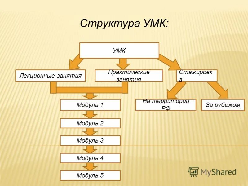 Структура умк. Структура умк