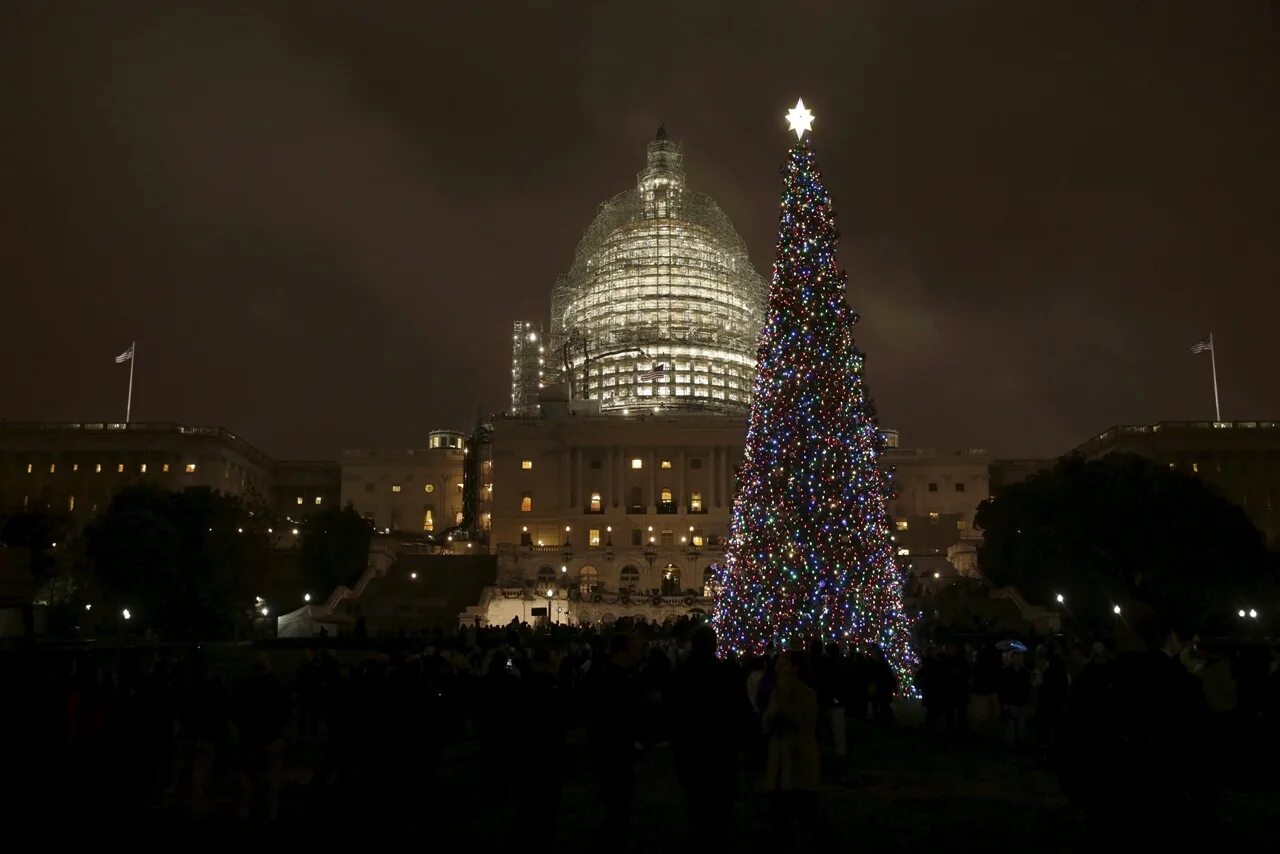 Самая большая новогодняя елка в мире. Рождество в вашингтоне (christmas in washington). Новогодняя елка в вашингтоне. Капитолий зимой спб. Новый год в вашингтоне.