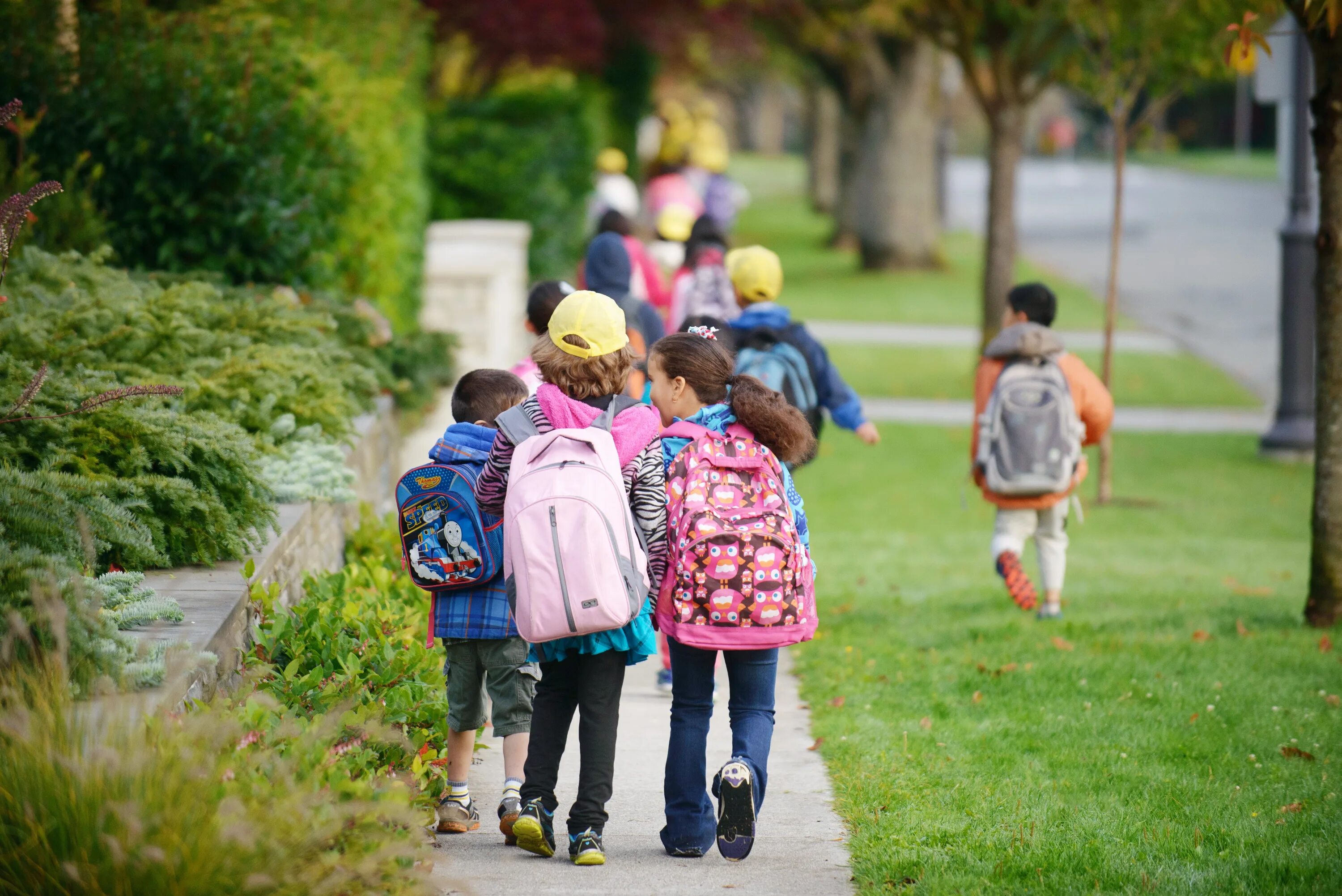 Where to school. Children go to school. go to school. присмотр за детьми на улице сад. walking to school или at the.