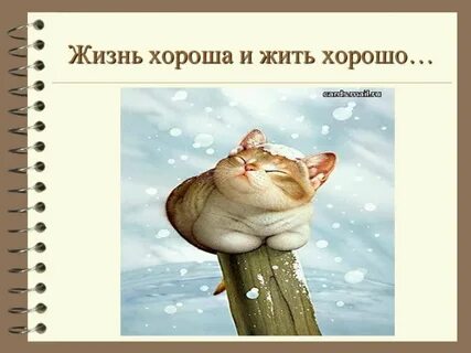 Живи долго живи хорошо книга