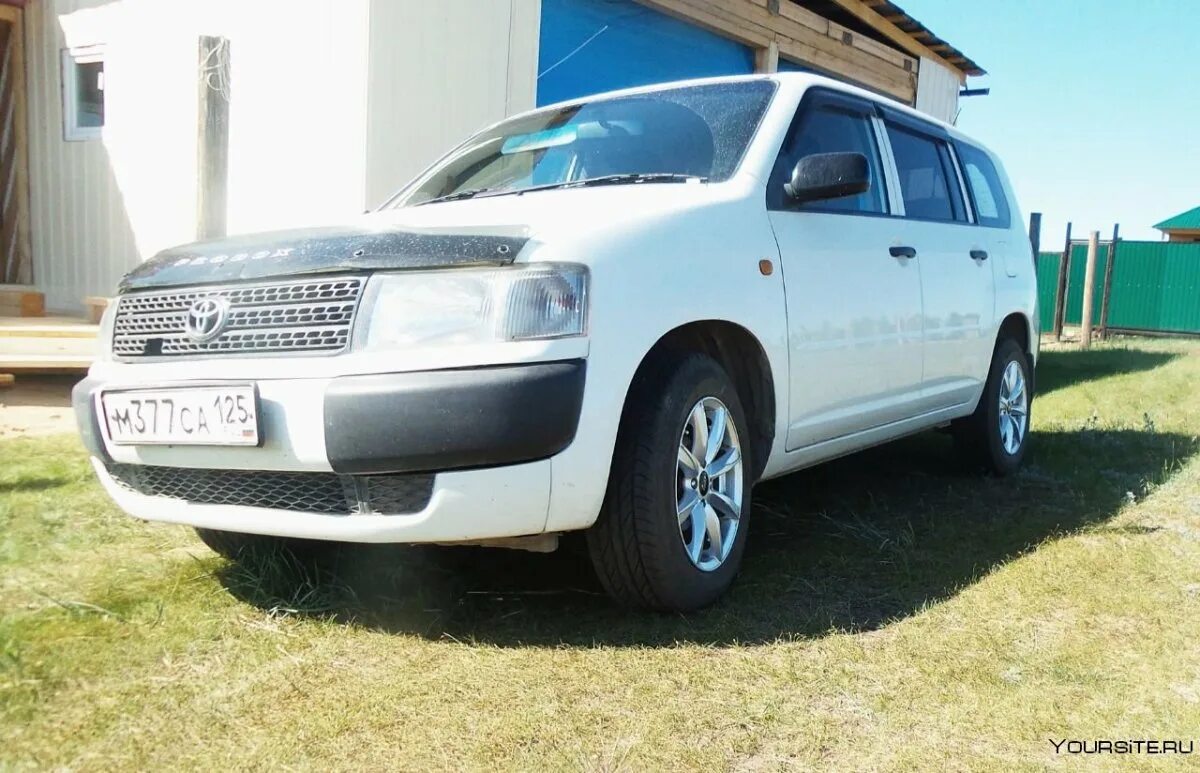 Пробокс 2003. Тойота пробокс 2025. тойота 2003 probox. toyota probox 2016. toyota probox 2003.