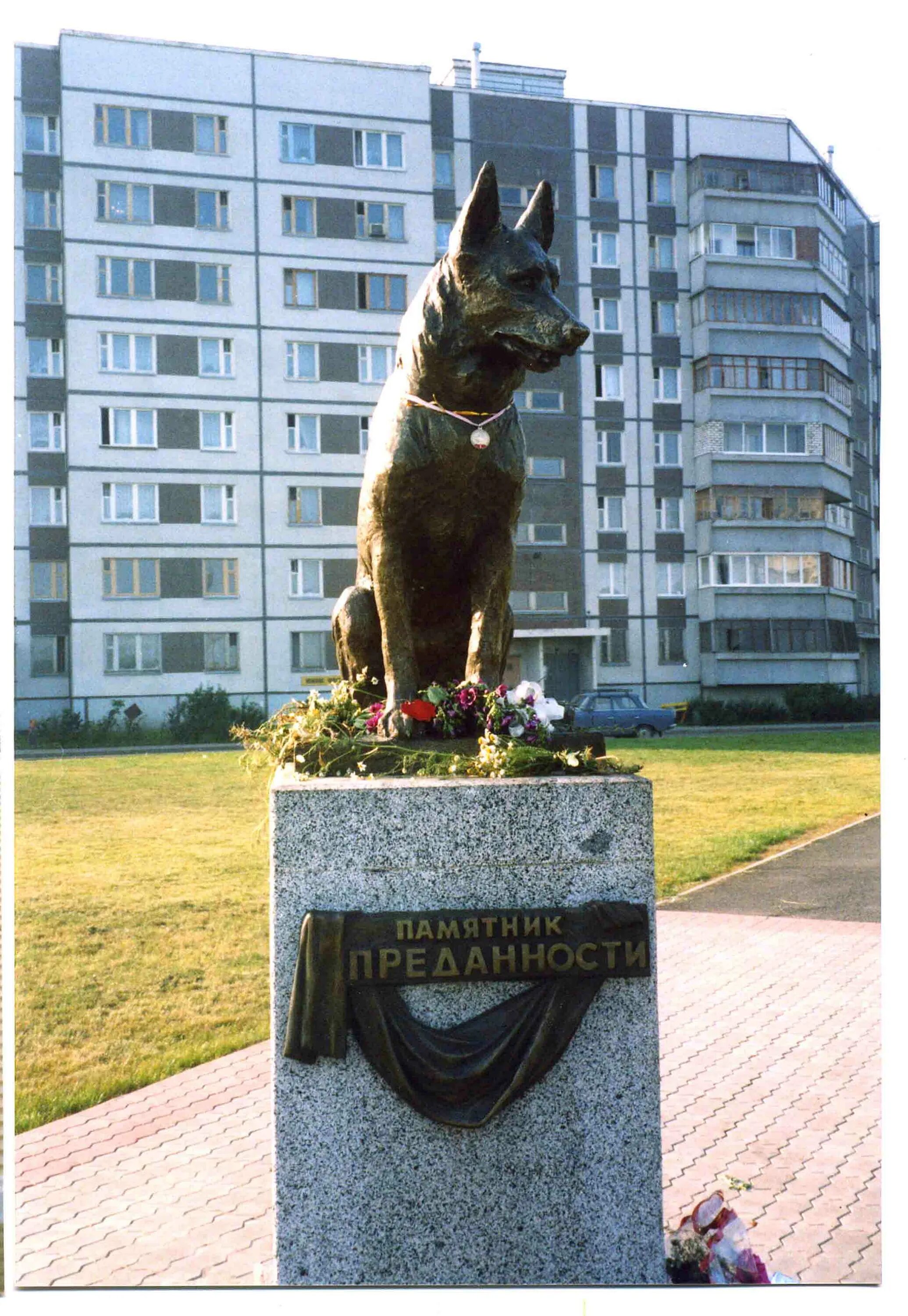 Собаки город александров. Памятник преданности собаке в Тольятти. Памятник верному псу Тольятти. Памятник верность псу в Тольятти.