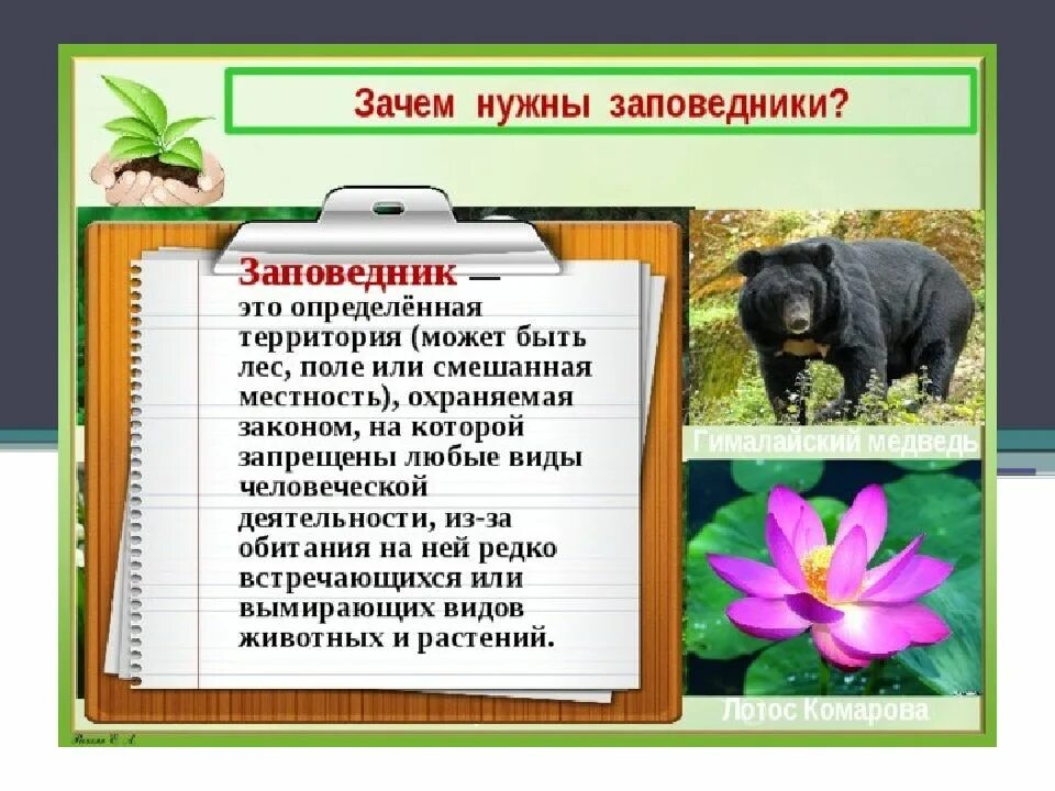 Зачем нужны заповедники. Причины создания заповедников. Проект зачем нужны заповедники. Зачем нужны заповедники и национальные парки. Почему важны заповедники и национальные парки