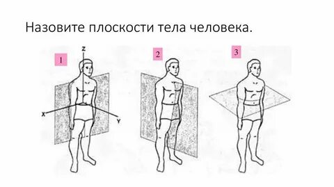 Горизонтальная сторона это какая