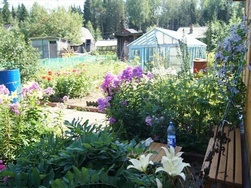 Купить Сад В Кирове С Фото - Mixyfotos.ru