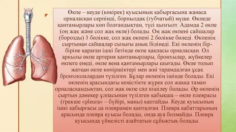 Мәскеулікпен анальды секс