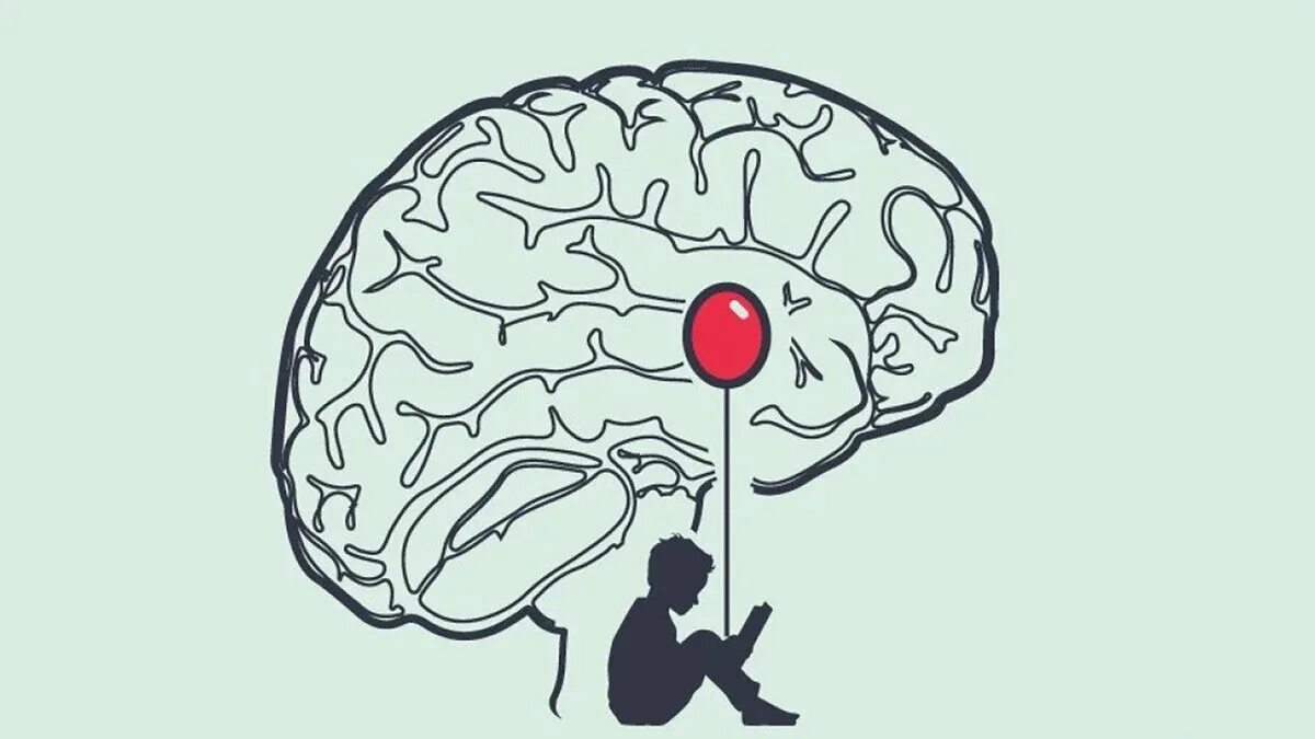 Main brain