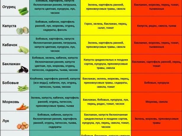 После каких можно сажать чеснок. Сидераты предшественники овощных культур таблица. После чего сажать лук таблица севооборота. Таблица предшественников овощей. Лучшие предшественники для земляники.