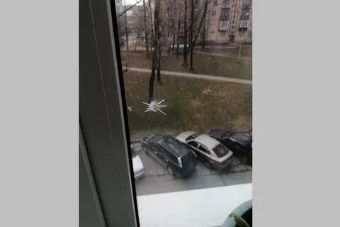 Стрелял из окна