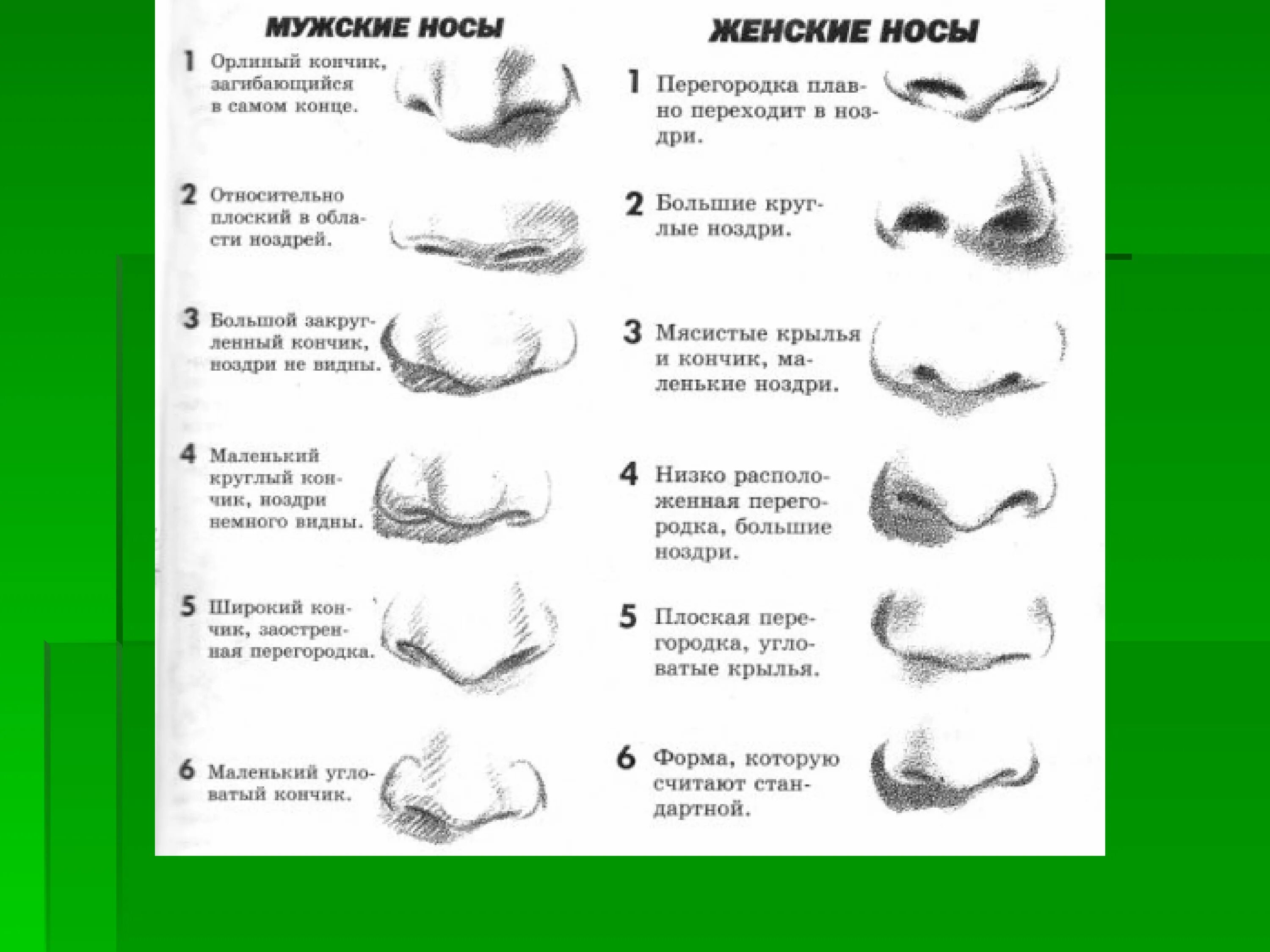 Nose description
