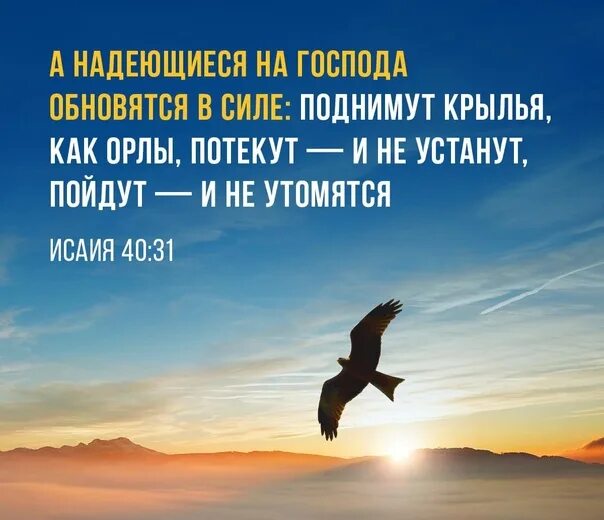 Надеющиеся на господа поднимут крылья как орлы. Надеющиеся на господа обновятся в силе. надеющиеся на господа обновятся в силе поднимут. а надеющиеся на господа обновятся в силе поднимут крылья как орлы. стих надеющиеся на господа обновятся в силе.