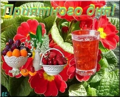 Тик ток доброго утра хорошего дня