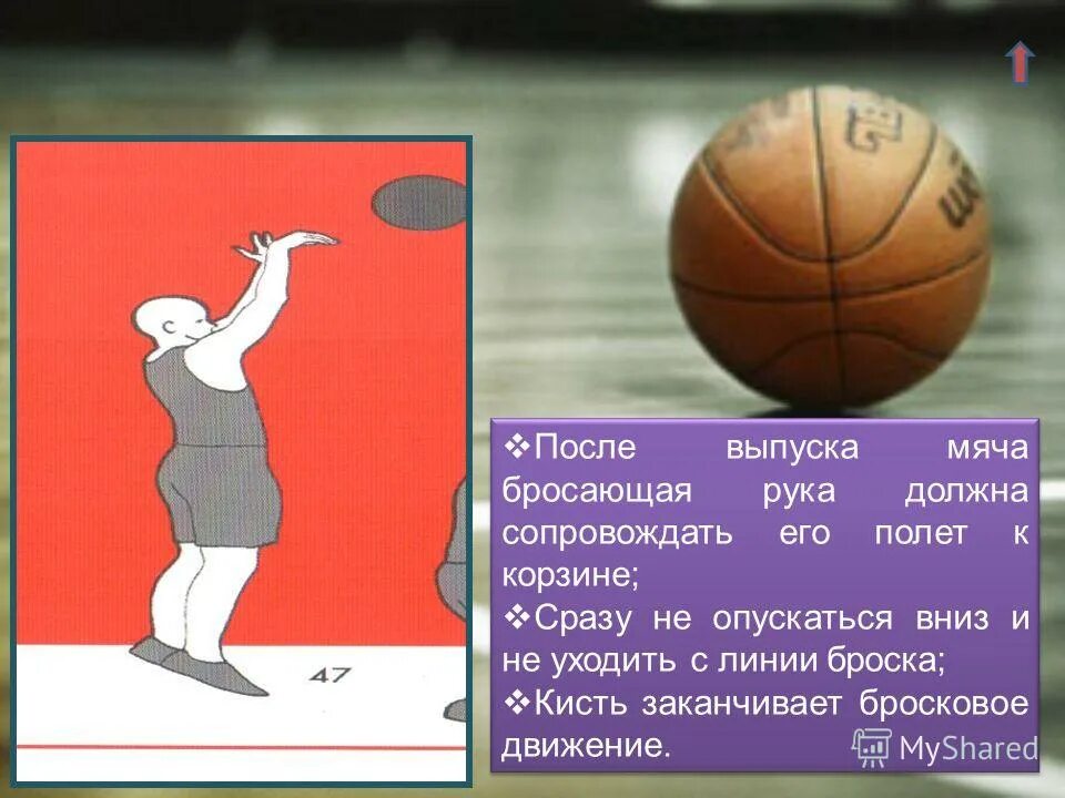 карло броска. мячик бросили вниз. выпуск мяча. решение задач по физике потенциальная и кинетическая энергия. мячик бросили вниз.