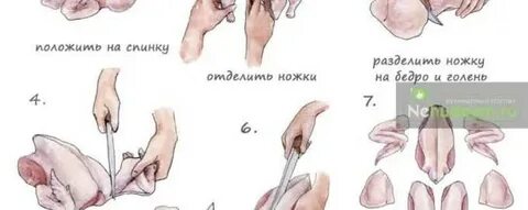 Как разобрать тушку