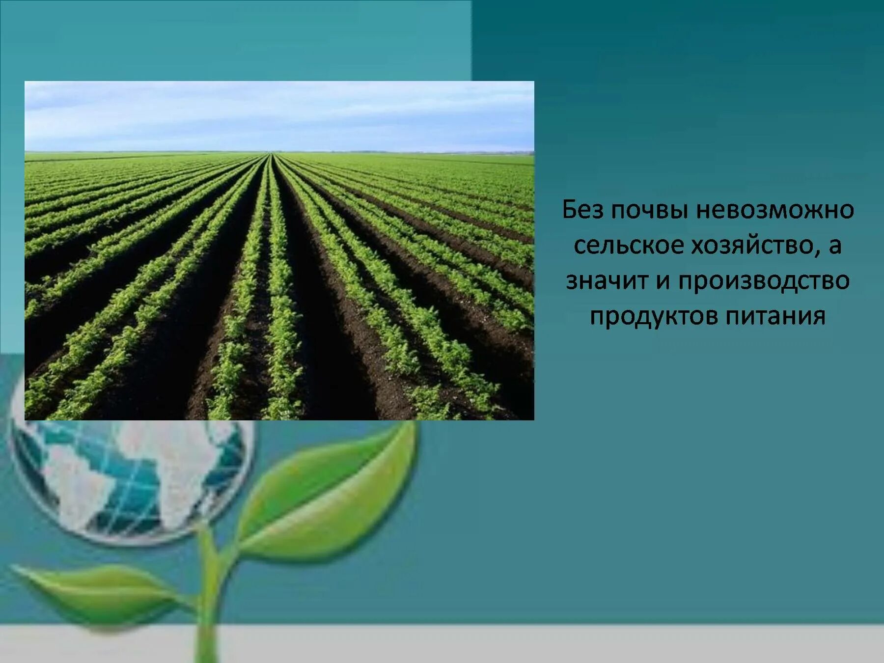 Конспект урока труд людей родного края. Проект экономика сельского хозяйства. Природные богатства и труд людей основа экономики. Сельское хозяйство класс. Природные богатства для экономики.