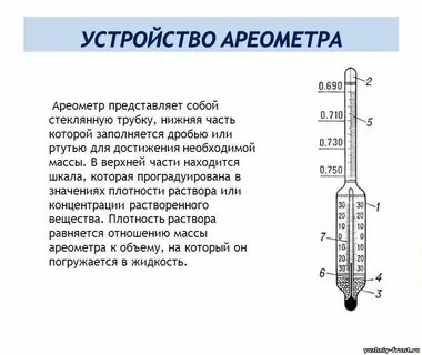 Принцип плотности