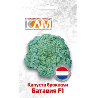 Брокколи батавия