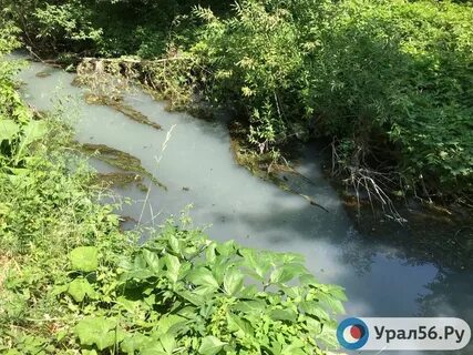 Елшанка орск