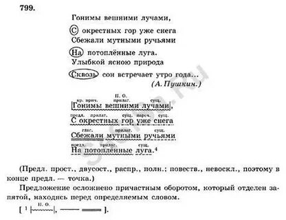 Луговыми разбор