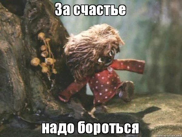 Борись мем. Борись мем. Мемы про борьбу. Никогда не сдавайся борись за свою мечту мем. Борцовские мемы.