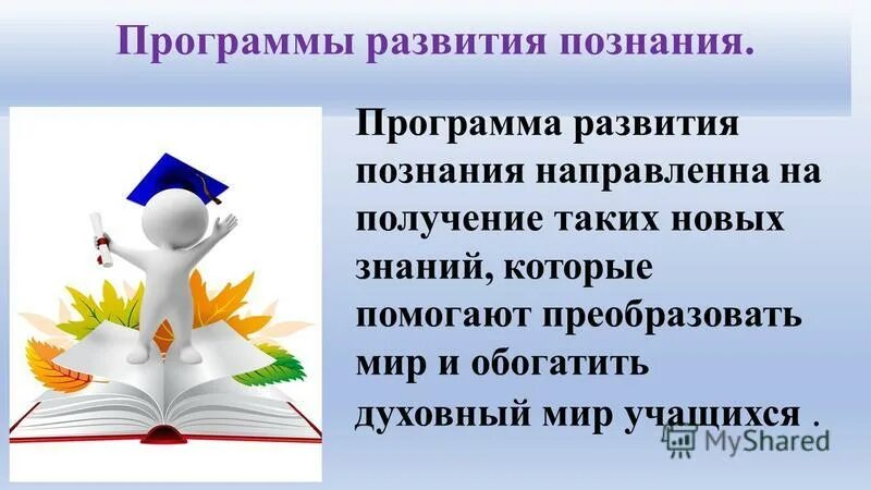 Программа познания