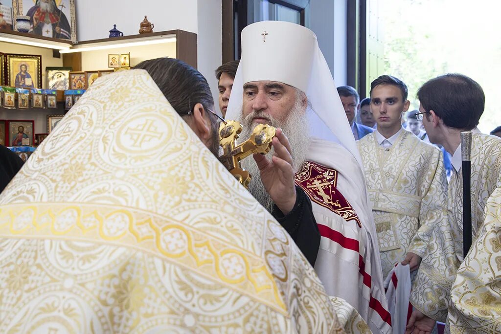 областной многопрофильный медицинский центр имени святителя луки.