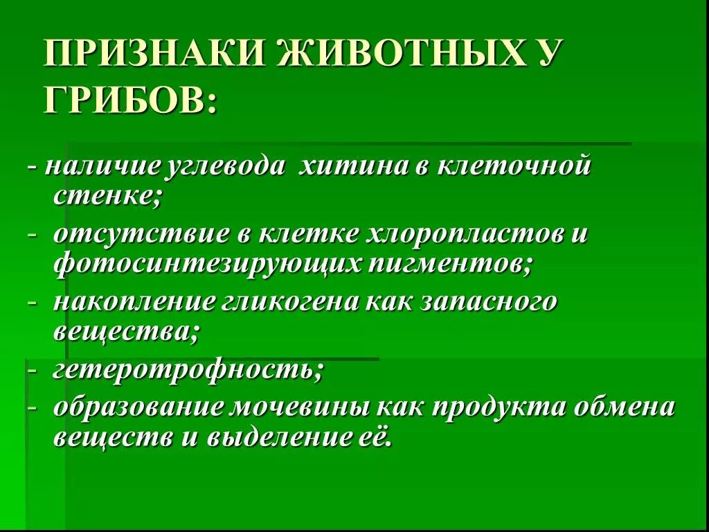 Признаки грибов наличие клеточной стенки