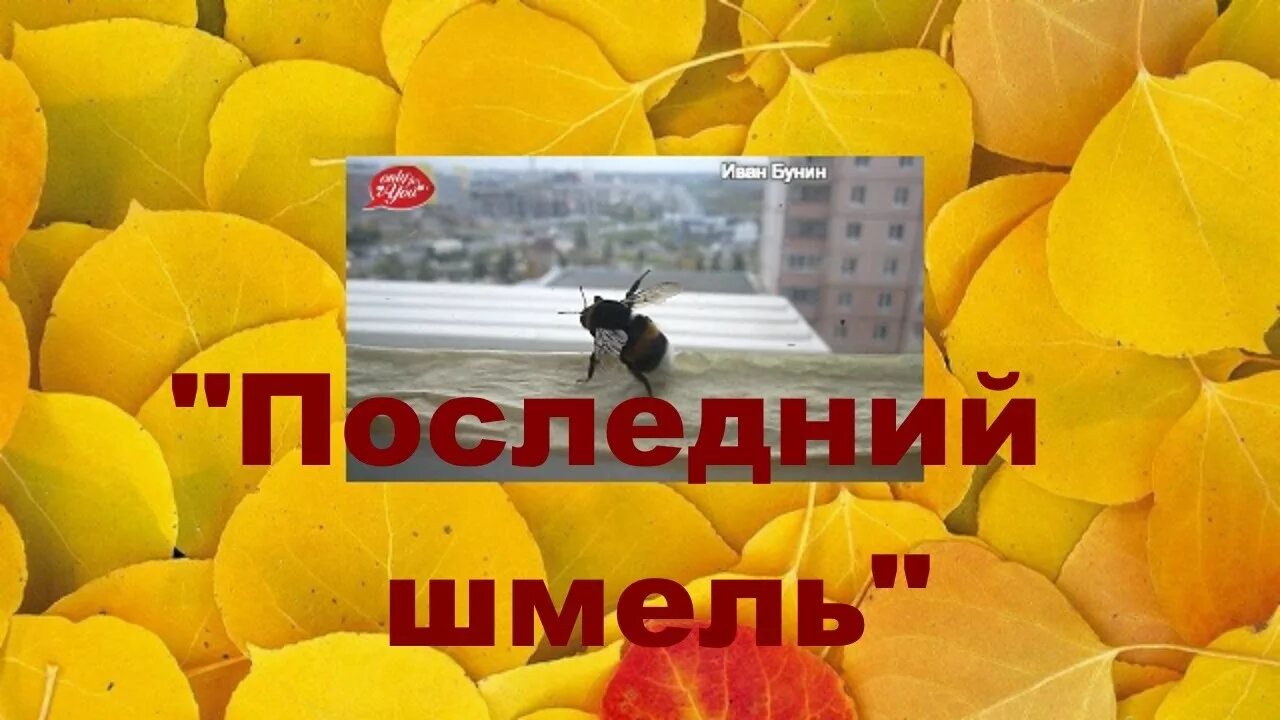 Стихотворение последний шмель