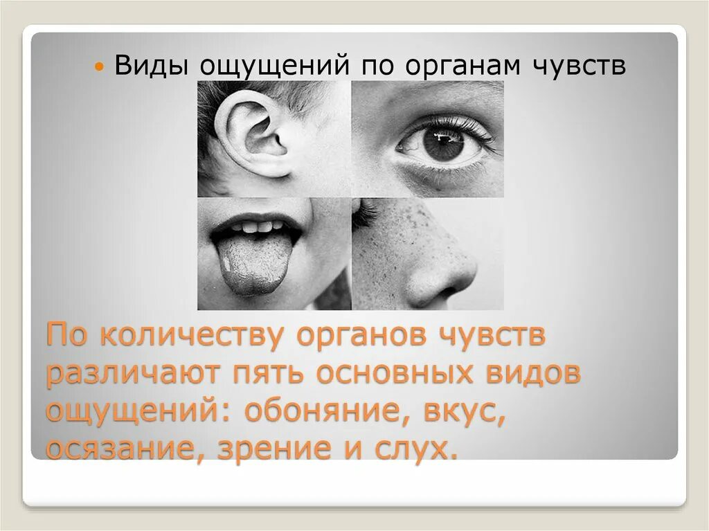 Виды ощущений по органам чувств. Пять основных чувств. Пять видов чувств. 5 Основных видов чувств.