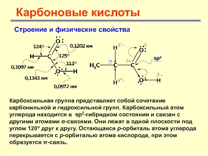 Монокарбоновые кислоты строение. Структура карбоновых кислот. Структурная формула карбоксильной группы. Карбоновые кислоты sp2. Гидроксильная группа карбоновых кислот