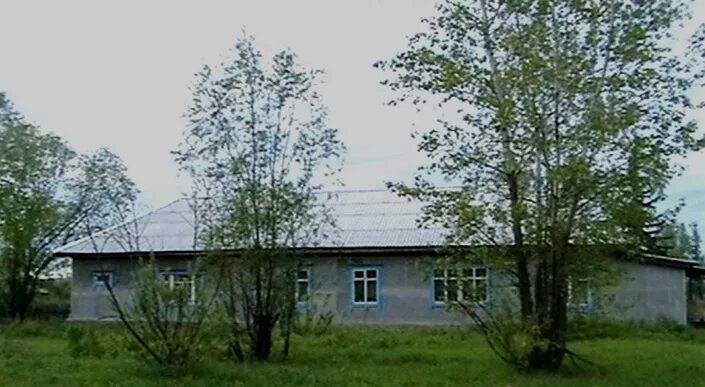 Автобус осиновое плесо новокузнецк. Осиновый плес новокузнецк. осиновое плесо новокузнецкий. осиное плесо новокузнецк.
