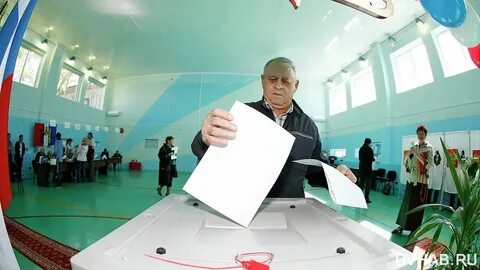 Кто победил на выборах в хабаровском крае